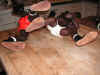 UnderFeet.JPG (694937 bytes)