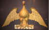 KatzEagle.jpg (477319 bytes)