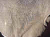 ReachMark.jpg (98506 bytes)