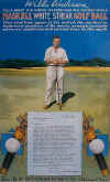 WillieAnderPostCrop.jpg (313645 bytes)