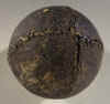 879LemonPeel.jpg (130438 bytes)
