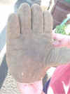 palmside.jpg (77351 bytes)